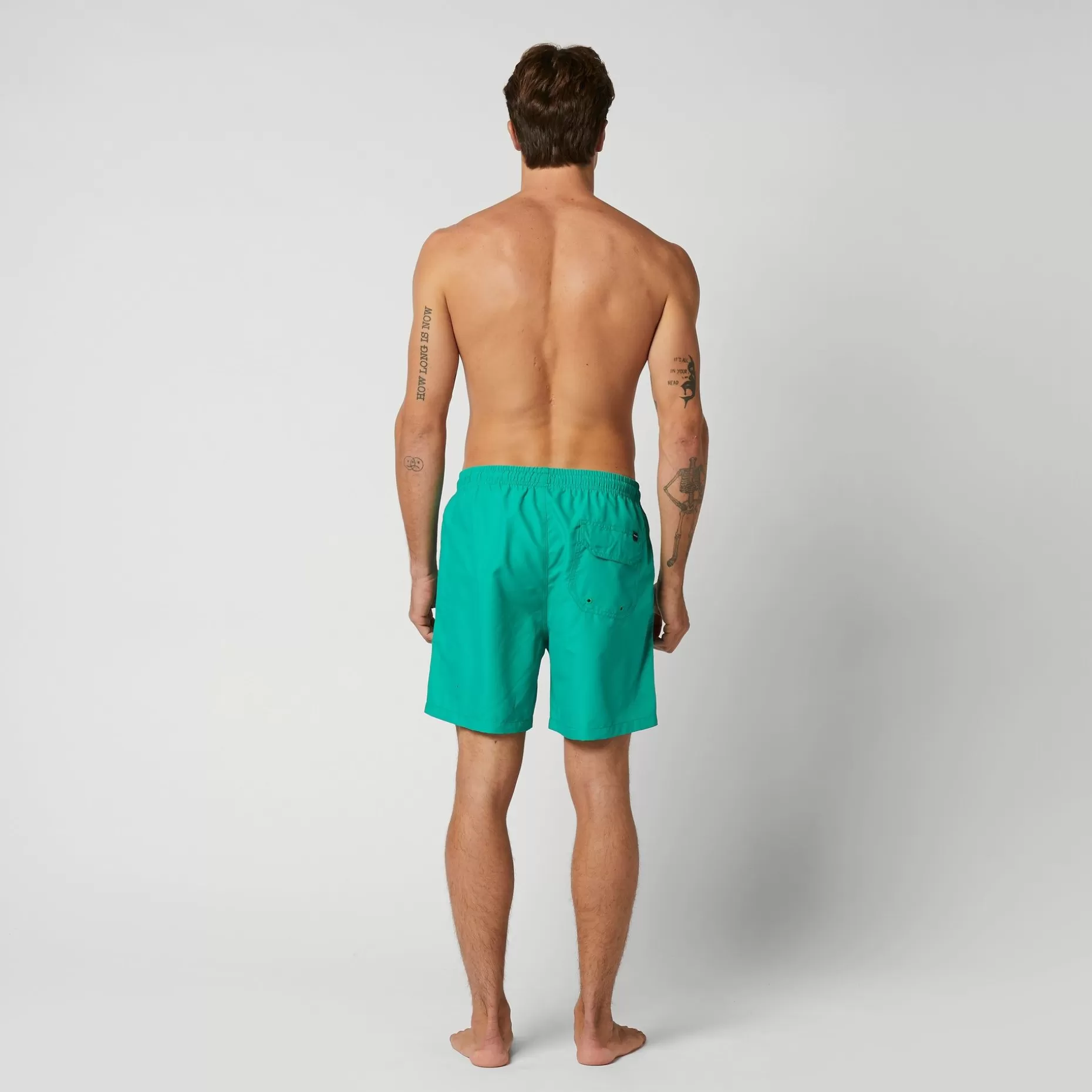 Mystic Boardshorts>Brand