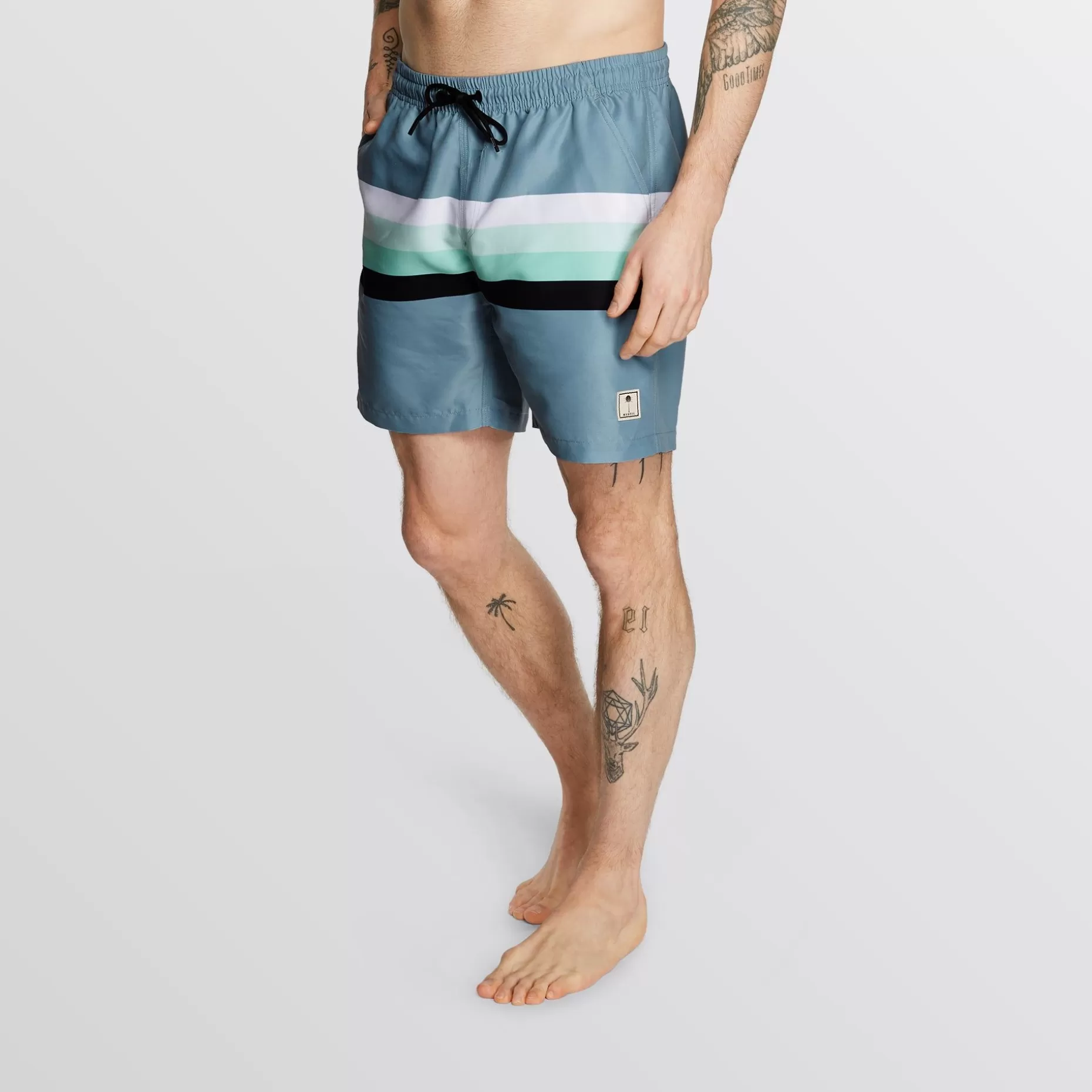 Mystic Boardshorts>Stripe