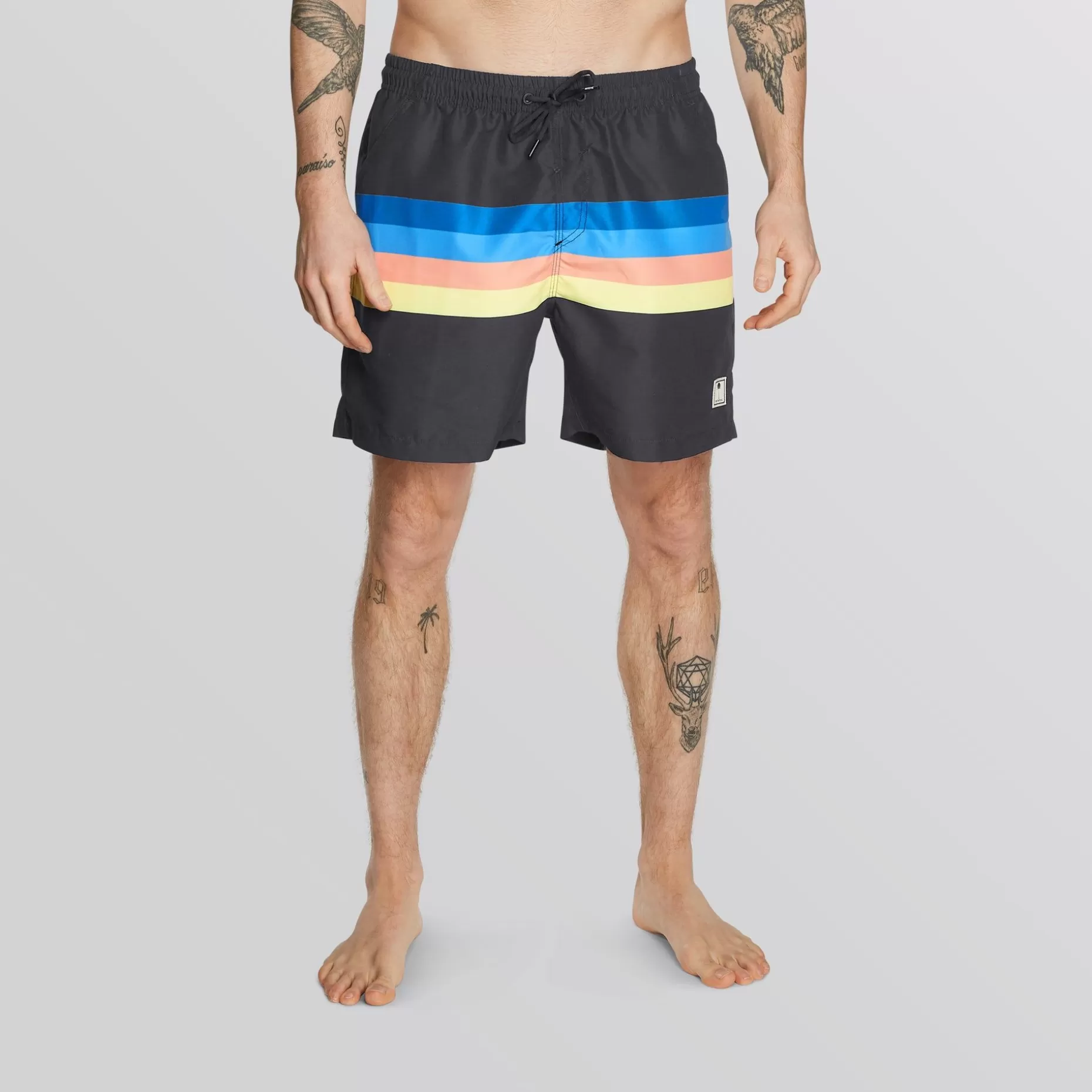 Mystic Boardshorts>Stripe