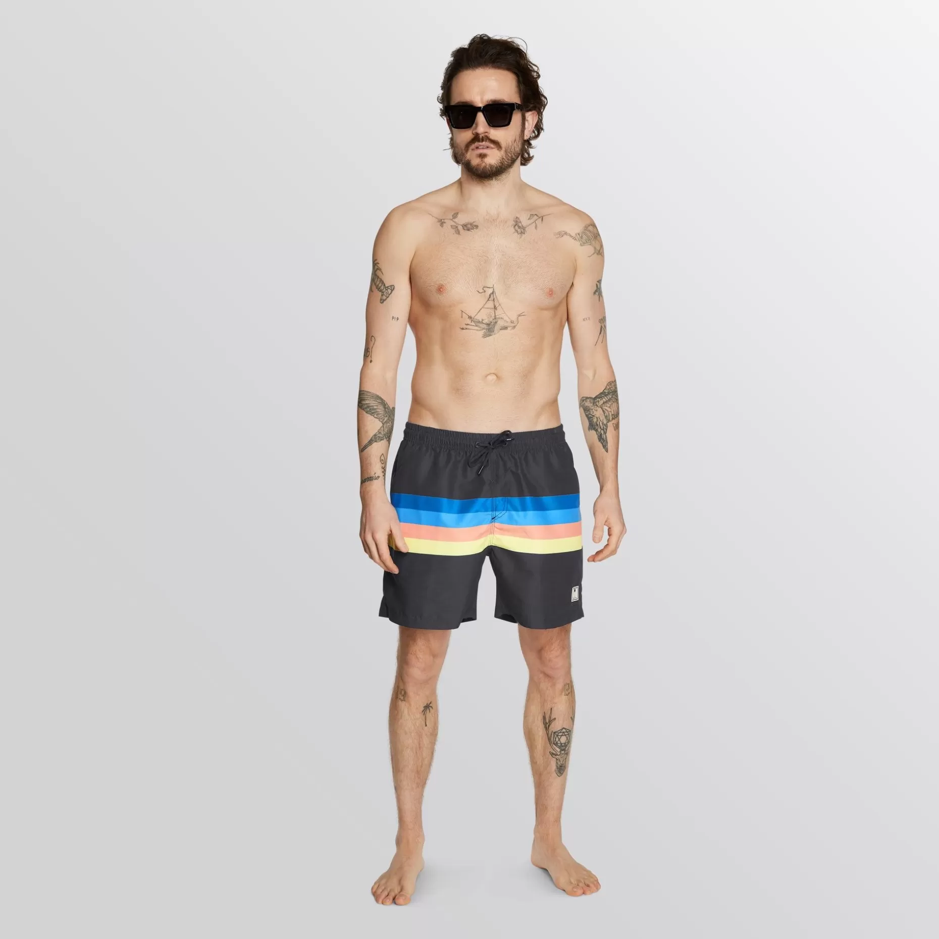 Mystic Boardshorts>Stripe
